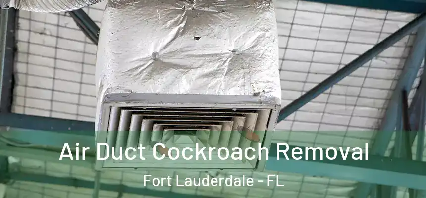Air Duct Cockroach Removal Fort Lauderdale - FL