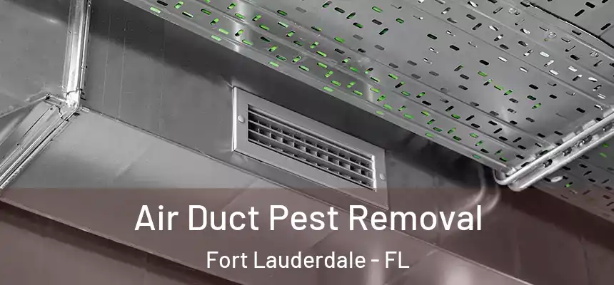 Air Duct Pest Removal Fort Lauderdale - FL