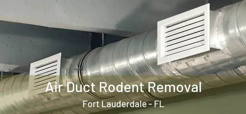  Air Duct Rodent Removal Fort Lauderdale - FL