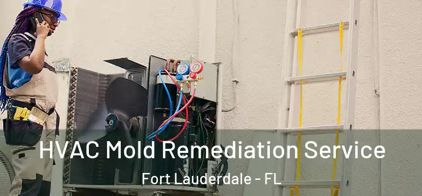  HVAC Mold Remediation Service Fort Lauderdale - FL
