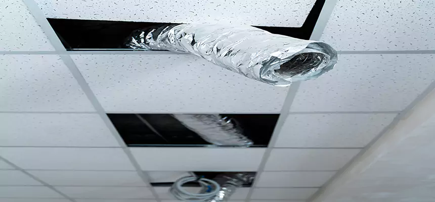 Affordable HVAC Sanitizing After Pest Removal in Fort Lauderdale