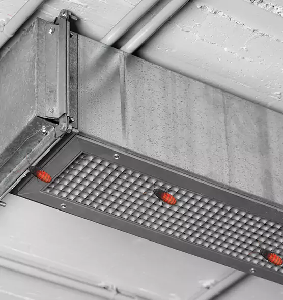 About Air Duct Cockroach Removal in Fort Lauderdale, FL