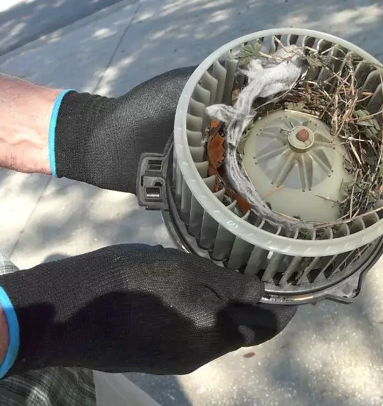 About Air Duct Mice Removal in Fort Lauderdale, FL