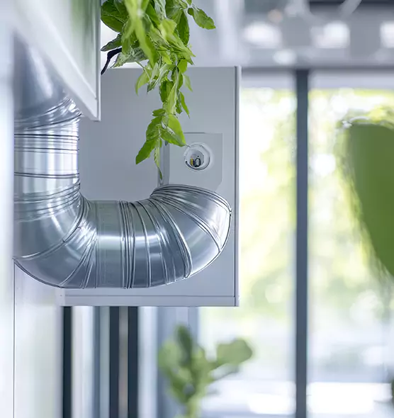 Professional Eco-Safe Dryer Vent Cleaning in Fort Lauderdale, FL