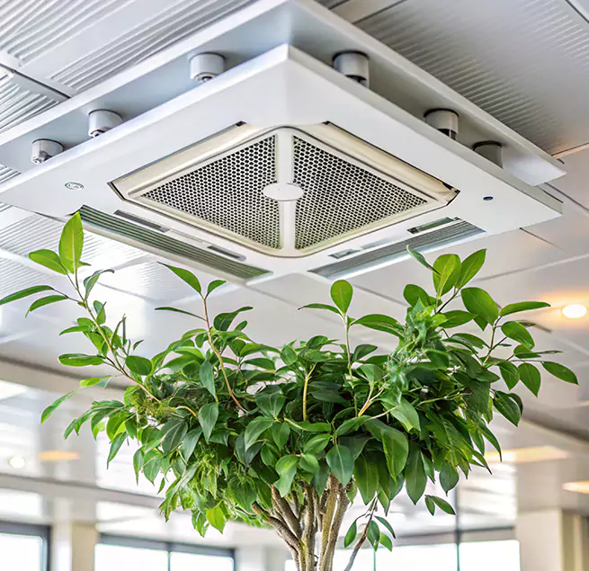 Why Homeowners & Businesses Trust Us in Fort Lauderdale, FL